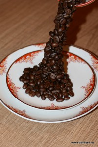 Fliegende Kaffeetasse (13)